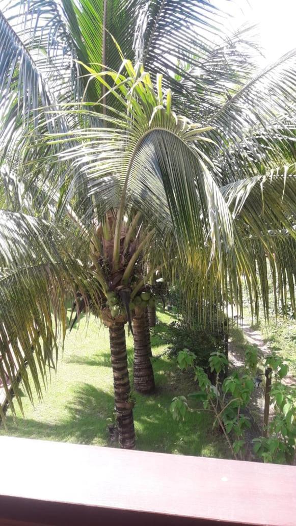 Pousada Do Dorinho Ilhabela Kültér fotó